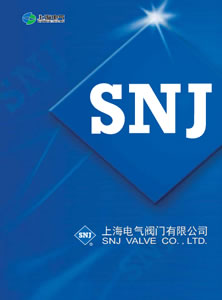 公司介绍宣传册-SNJ-1
